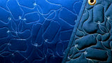 Navy/Navy Freedom Mat® Patch Mat